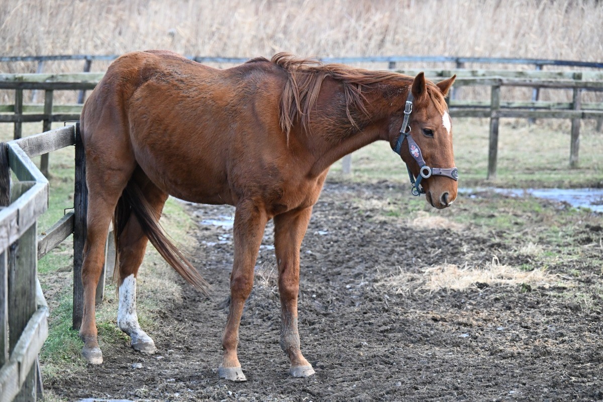 131e86a09fdf473fa6c68f03c4300d3a-1765827152.jpg 131e86a09fdf473fa6c68f03c4300d3a-1765827152.jpg